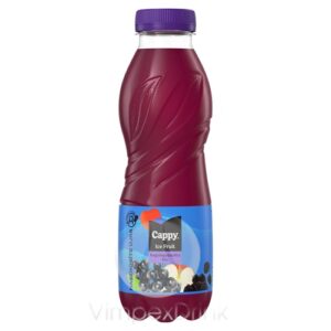 COCA Cappy Ice ErdeiGyüm. 0,5l PET - DRS